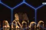 NCT กลุ่มบอยกรุ๊ปรุกกี้ของ SM กับคลิปเต้นแบบ No Cut มาส่องหนุ่ม ๆ  กัน!