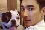 ชีวอน Super Junior ออกมาขอโทษ เพื่อนบ้าน ที่สุนัขของเขาเป็นสาเหตุแก่ความตาย