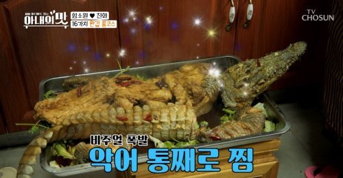 ครอบครัวฮัมโซวอน จินหัว ถูกวิจารณ์เรื่องทำอาหารที่ทำจากจระเข้และหนู